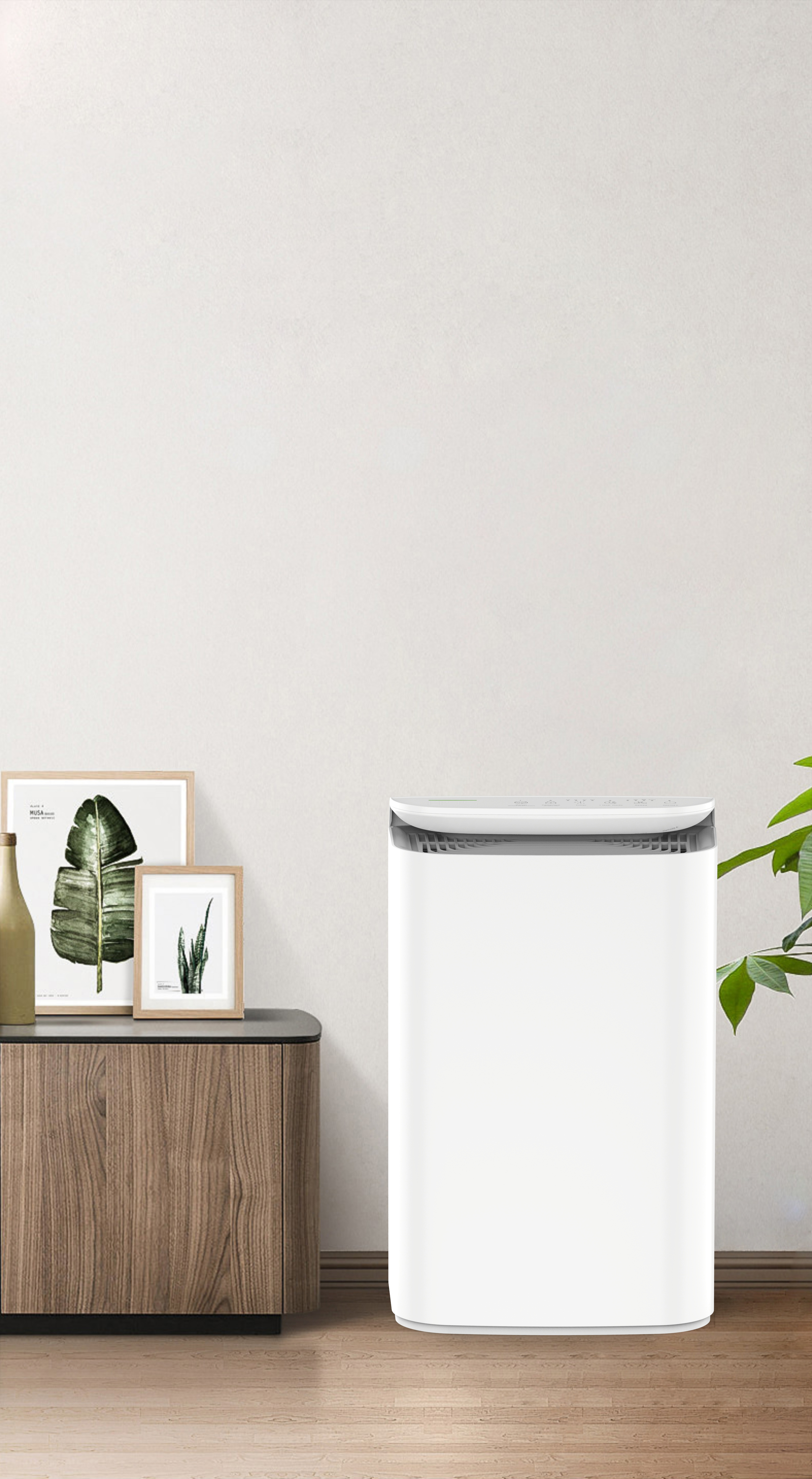 Tingkatkan Teknologi Anion Breath Fresh of the Forest BKJ-16B